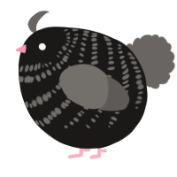 A sable and grey chicken with a bar pattern