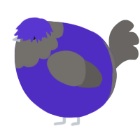 A indigo and grey chicken with a head pattern