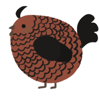 A russet and sable chicken with a lace pattern