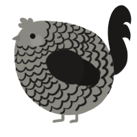 A ash and sable chicken with a lace pattern