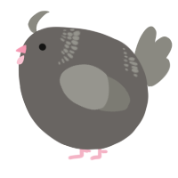 A grey and ash chicken with a neck-band pattern