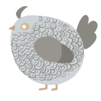 A mist and ash chicken with a double-lace pattern