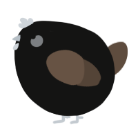 A black and bark chicken