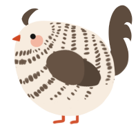A cream and bark chicken with a bar pattern