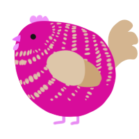 A fuchsia and beige chicken with a bar pattern
