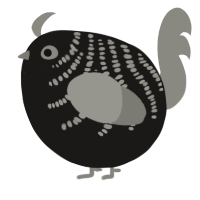 A sable and ash chicken with a half-bar pattern