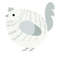A white and silver chicken with a bar pattern