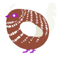 A russet and white chicken with a bar pattern
