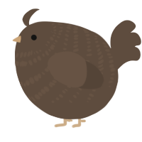 A bark chicken with a bar pattern