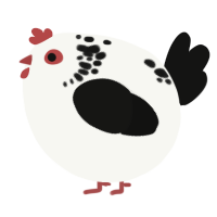 A white and black chicken with a neck-speckle pattern