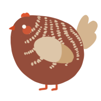 A russet and beige chicken with a half-bar pattern