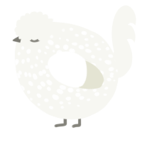 A white chicken with a speckle pattern