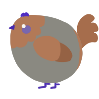 A ash and brown chicken with a head pattern