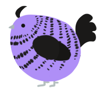 A lilac and sable chicken with a bar pattern