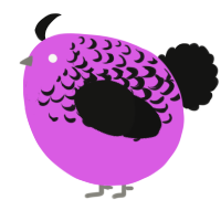 A orchid and black chicken with a half-lace pattern