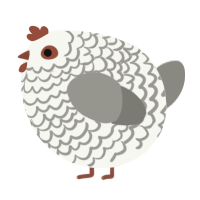 A white and ash chicken with a lace pattern