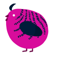 A fuchsia and tumblr chicken with a half-bar pattern
