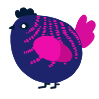A navy and fuchsia chicken with a half-bar pattern