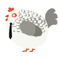 A white and ash chicken with a half-lace pattern