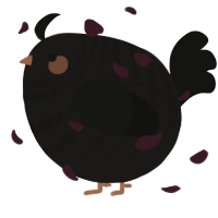 A sable and black chicken with a bar pattern