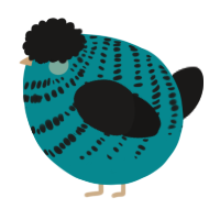 A teal and sable chicken with a bar pattern