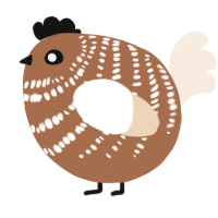 A brown and cream chicken with a bar pattern