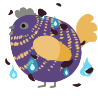 A overcast and honey chicken with a bar pattern