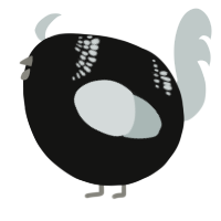 A black and silver chicken with a neck-band pattern