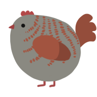 A ash and russet chicken with a half-bar pattern