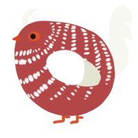 A red and white chicken with a bar pattern