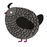 A grey and sable chicken with a lace pattern