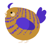 A gold and indigo chicken with a bar pattern