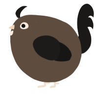 A bark and sable chicken