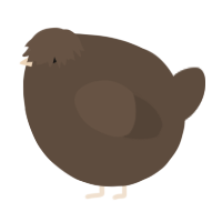 A bark chicken