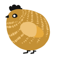 A gold and honey chicken with a bar pattern