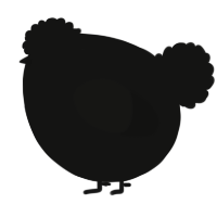 A black chicken