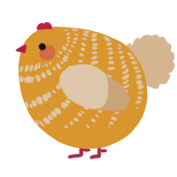A orange and beige chicken with a bar pattern