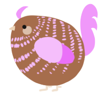 A brown and lavender chicken with a bar pattern