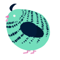 A mint and tumblr chicken with a bar pattern