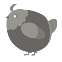 A grey and ash chicken with a head pattern