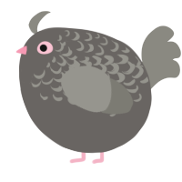 A grey and ash chicken with a half-lace pattern