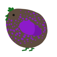 A bark and violet chicken with a speckle pattern