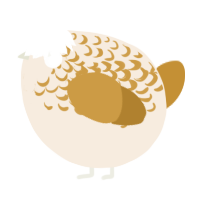A cream and gold chicken with a half-lace pattern