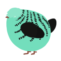 A mint and black chicken with a half-bar pattern