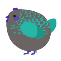 A grey and turquoise chicken with a half-lace pattern