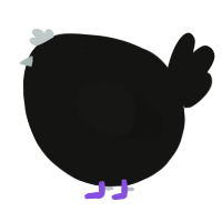 A black chicken
