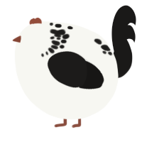A white and sable chicken with a neck-speckle pattern