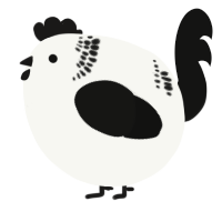 A white and black chicken with a neck-band pattern