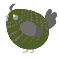 A olive and grey chicken with a bar pattern