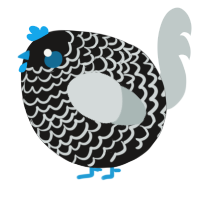 A sable and silver chicken with a lace pattern